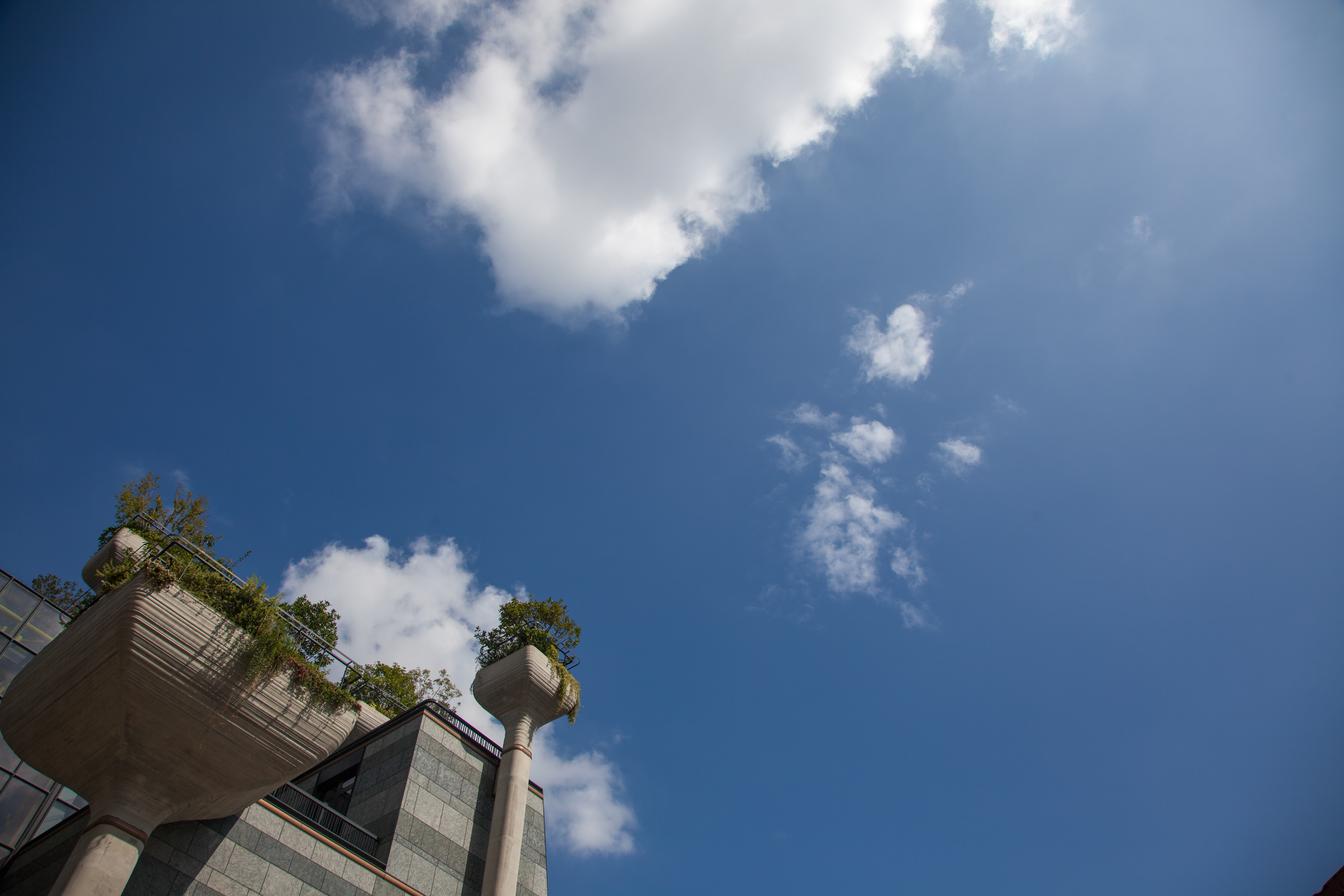 上海网红建筑天安千树,天安千树网红地址