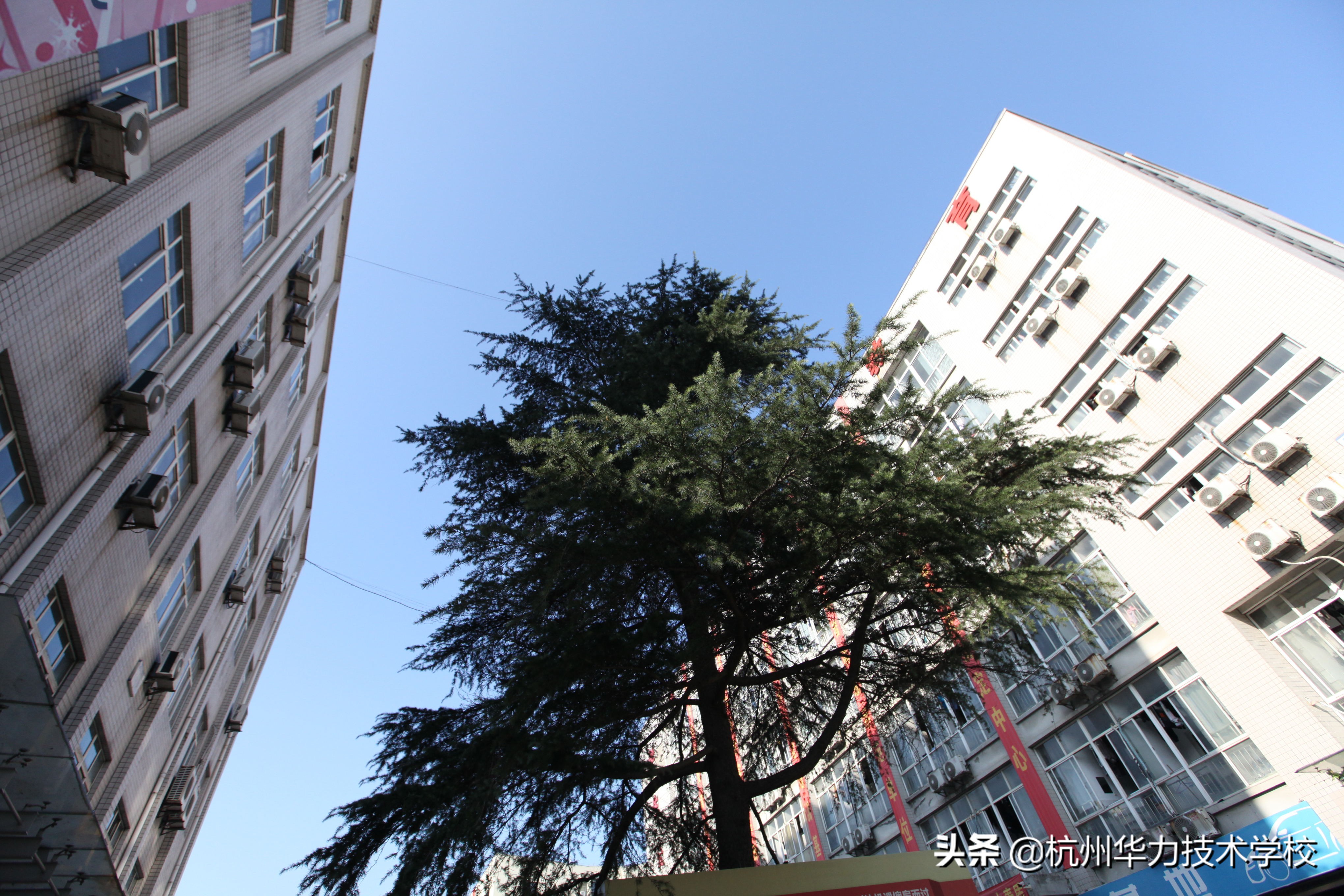 如何设置打印机共享所有电脑,如何设置打印机共享网络打印