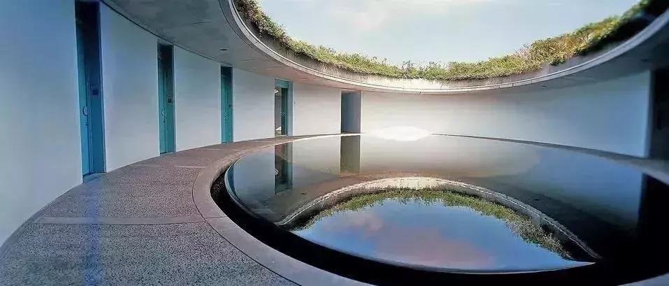 当景观遇上设计,当景观植物遇见灯光