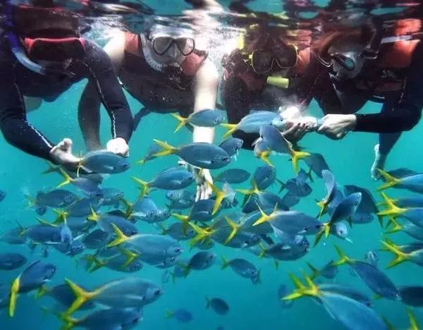 斐济到底是什么国家,斐济在什么地方属于哪个国家