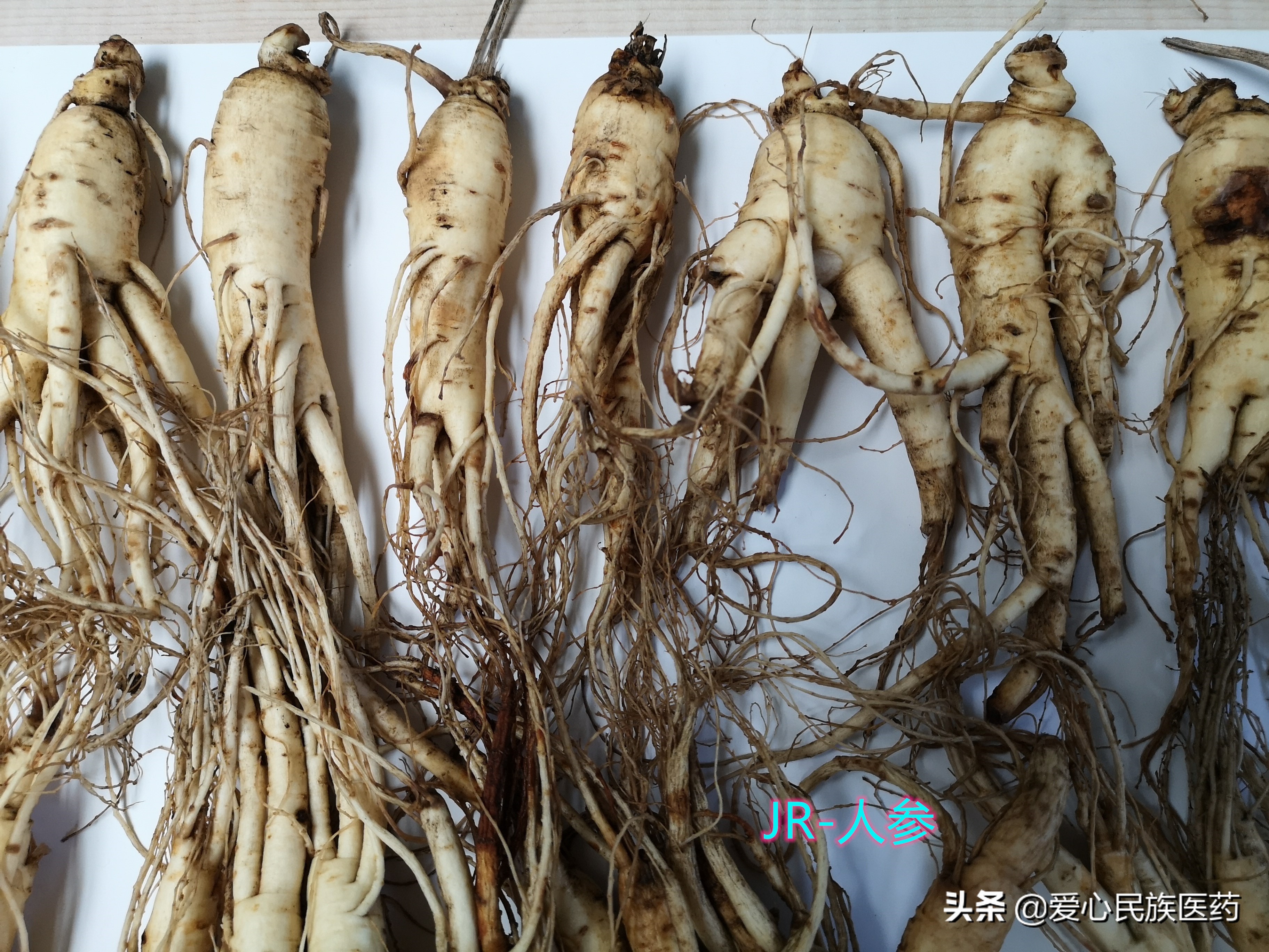 石斛和人参西洋参哪个好,红参西洋参补气血的最佳吃法