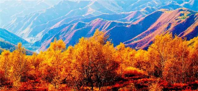 坝上屋一组坝上屋,坝上坝下什么意思