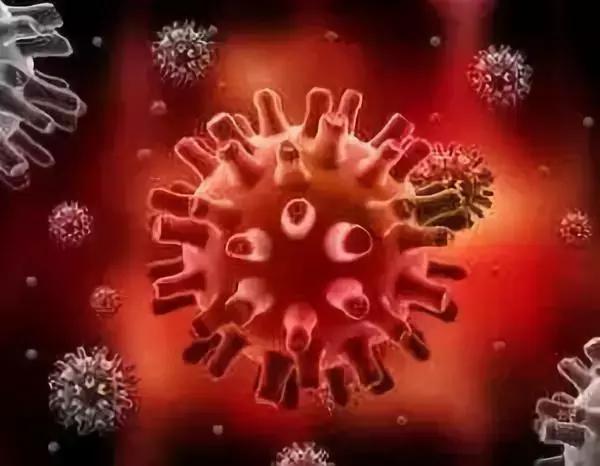 hivhpvhsv什么区别,hsv与hpv有什么区别