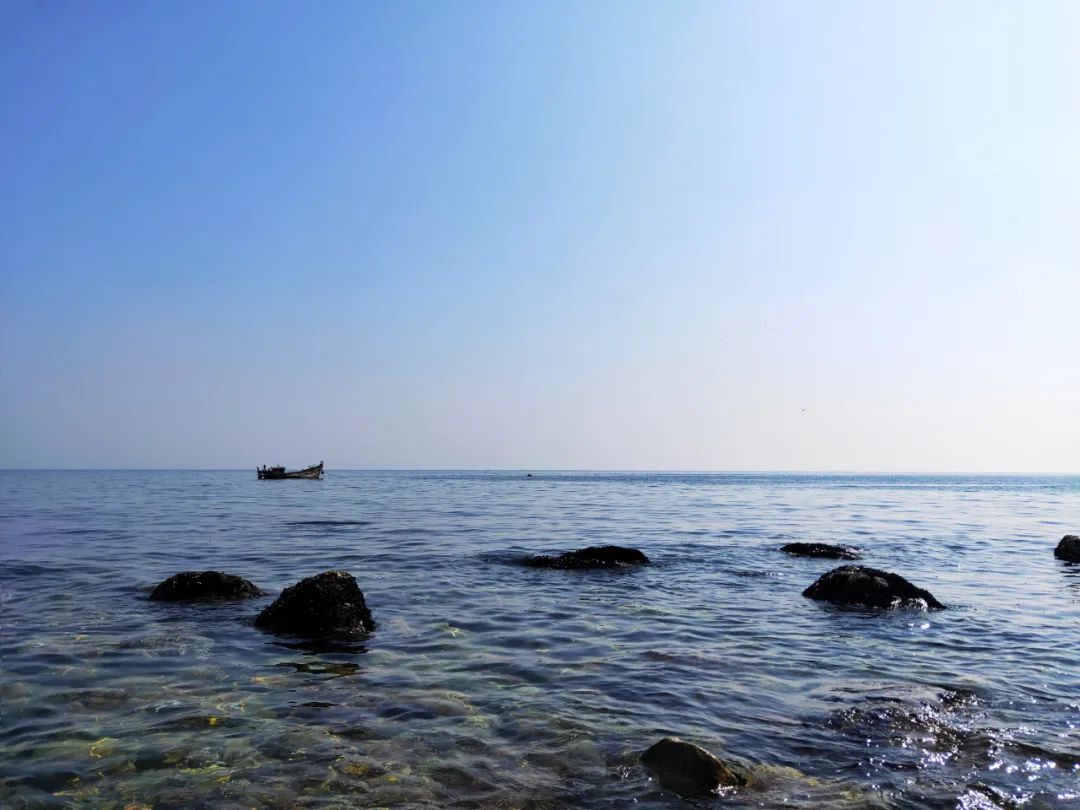 2022春节大连本命年免费景点,大连免费景点排行榜前十名