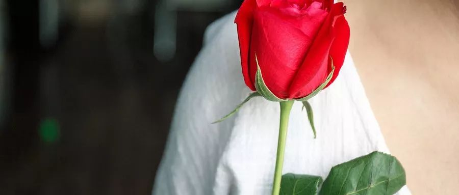 三天卖空千亩玫瑰,聚划算如何成为卖家的“新高地”