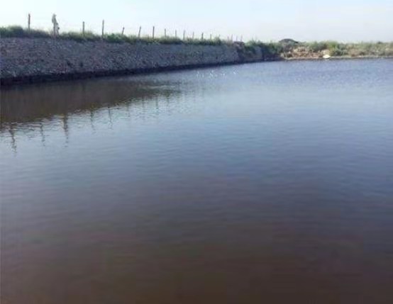 水草腐烂不生根,水草腐烂对水质的影响