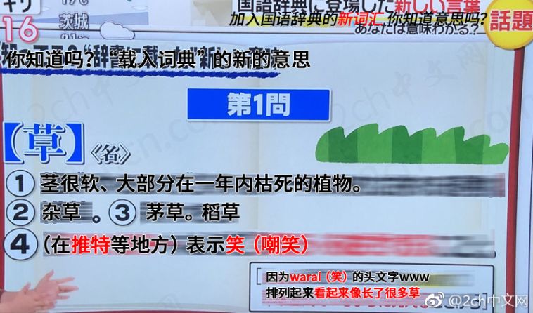 日本语草是什么意思,日本人说草的意思