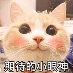 真正有用的美白精华推荐,值得入手的7支热门美白精华推荐