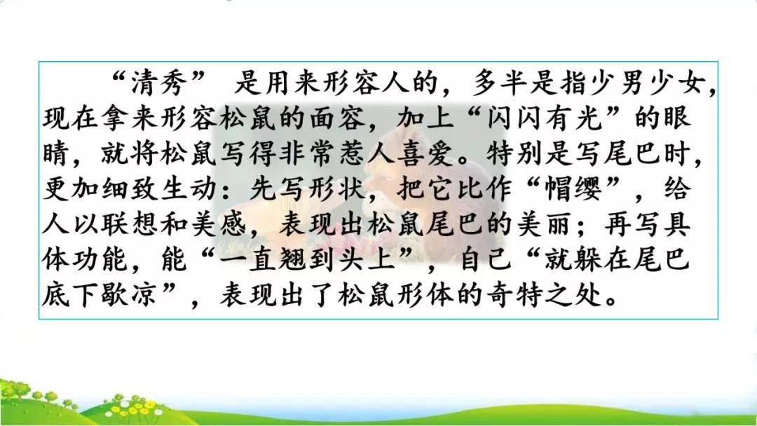 五年级语文第17课松鼠讲解,五年级上册第17课松鼠教材详解