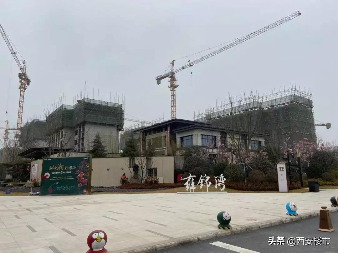 创新港现场考察,创新港真实照片