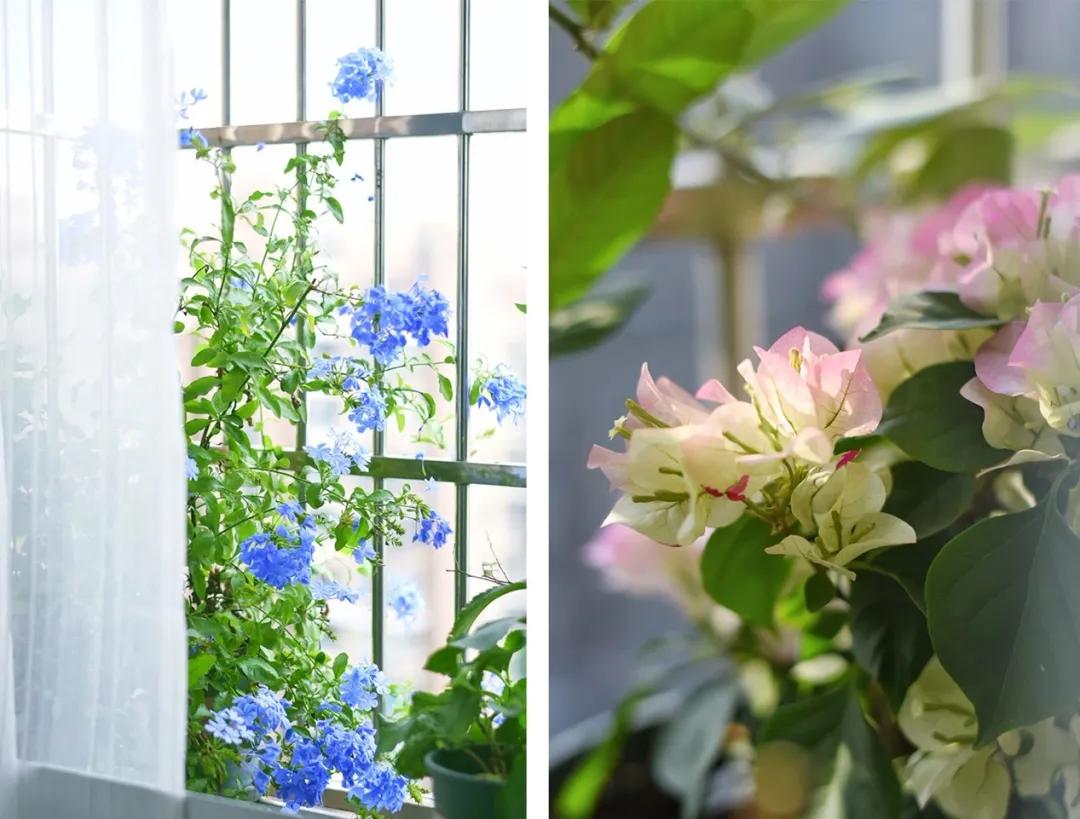 杭州女生老破小装修改造,装修漂亮女工