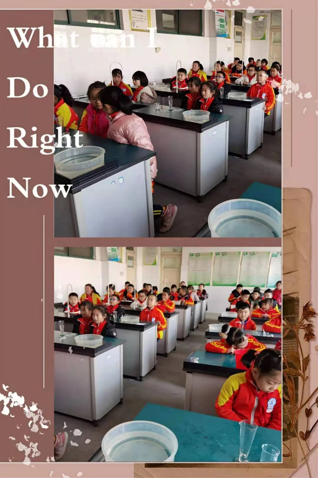 科技节家庭科学小实验比赛一年级,科学实践活动简单的小学生