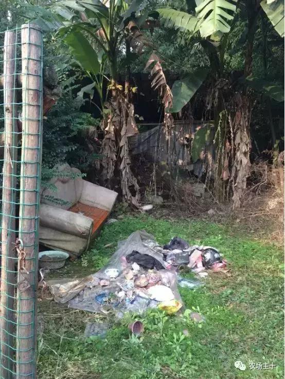 改造山野小院记录田园生活,花4万块钱改造的小院