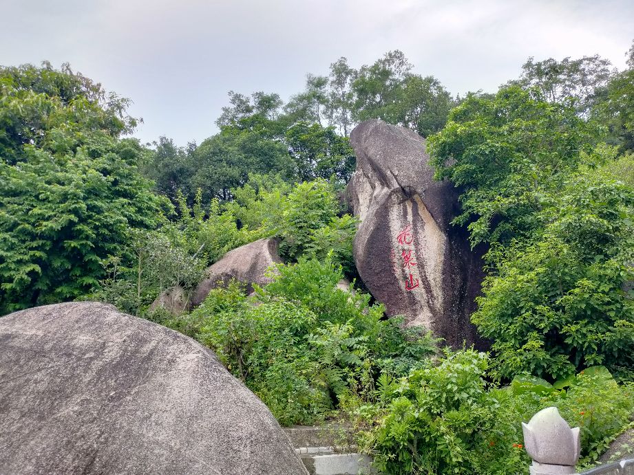 针对学生上课玩手机现象解决方案,学生上课玩手机怎么办教你一招