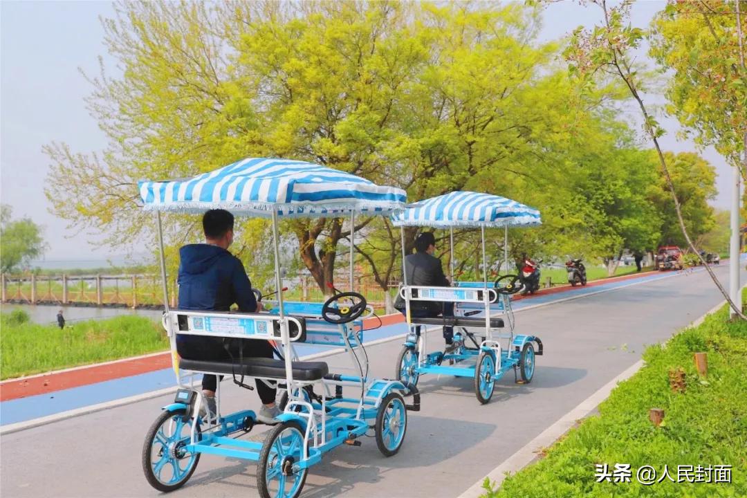 太湖骑行步道,无锡太湖骑行绿道