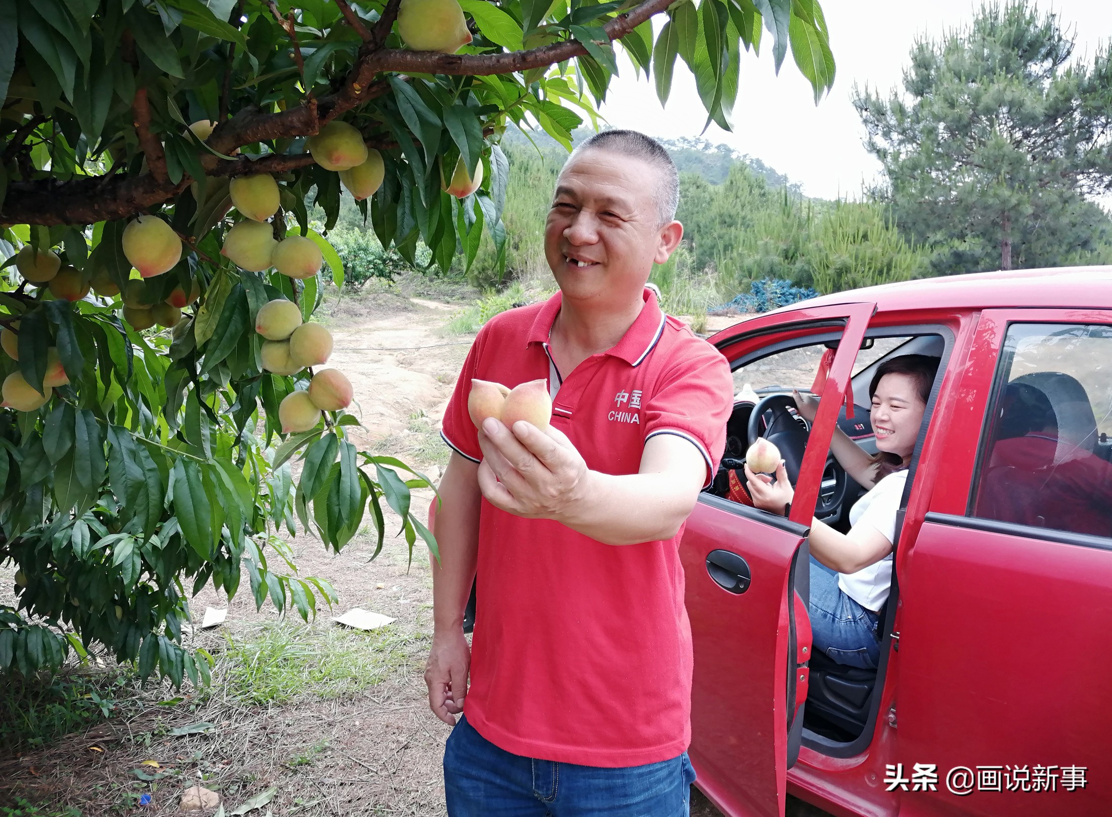 福建桃子网红,福建连城拳头桃