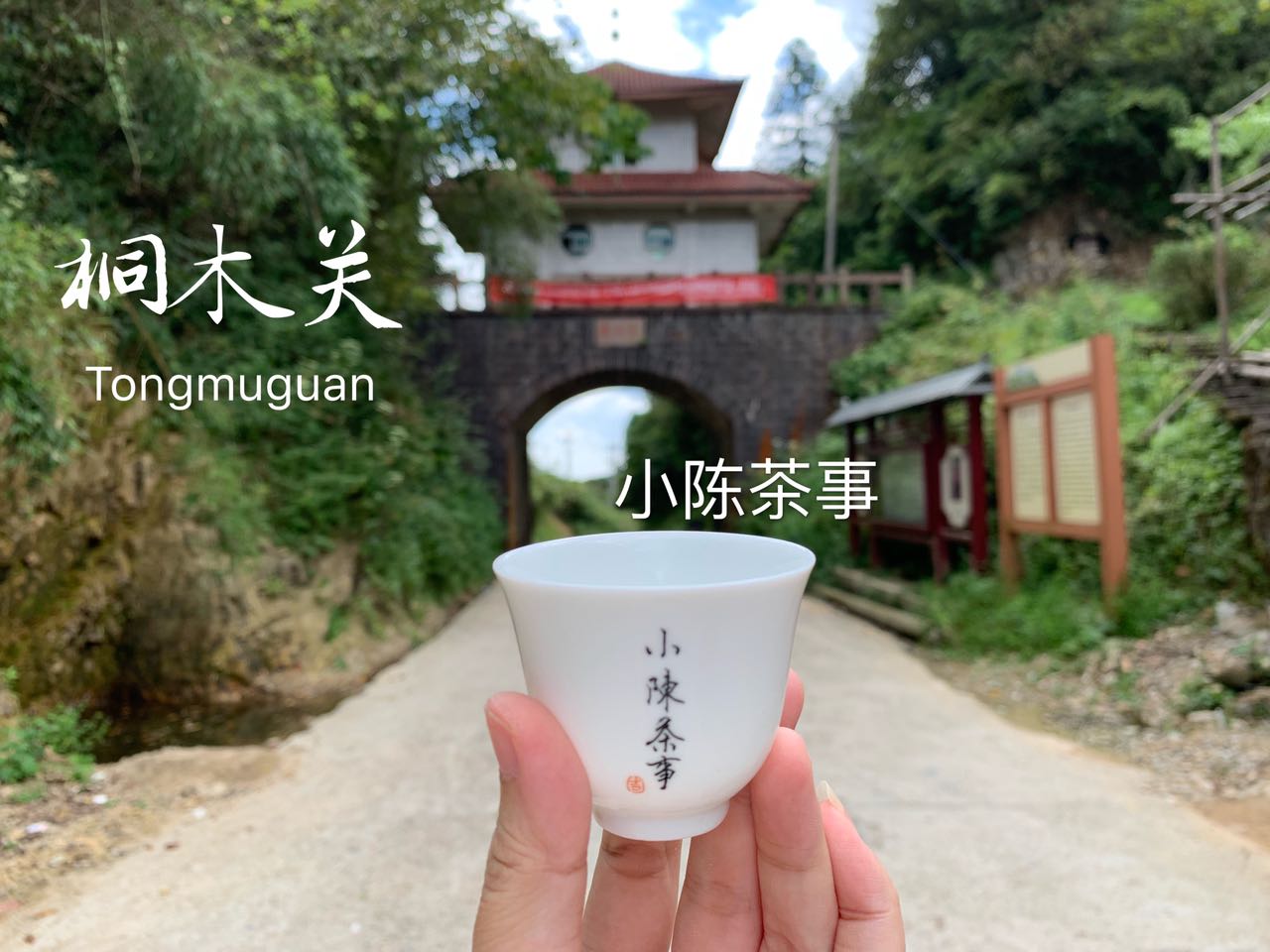 金骏眉假茶案例,揭秘顶级正山小种红茶金骏眉