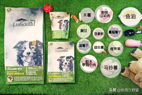 livinwild,livinwild澶滃鐚伯鍜嬫牱