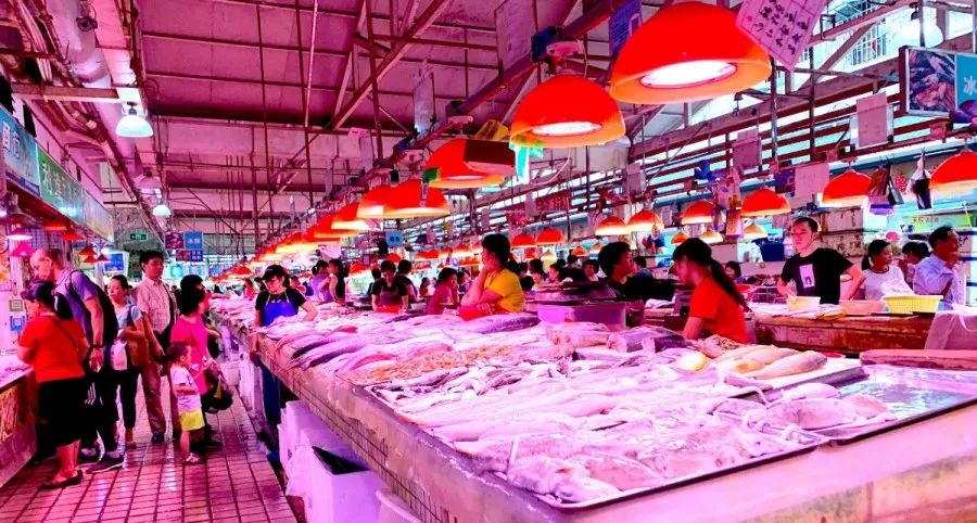 去蛇口玩吗,深圳蛇口值得去吗