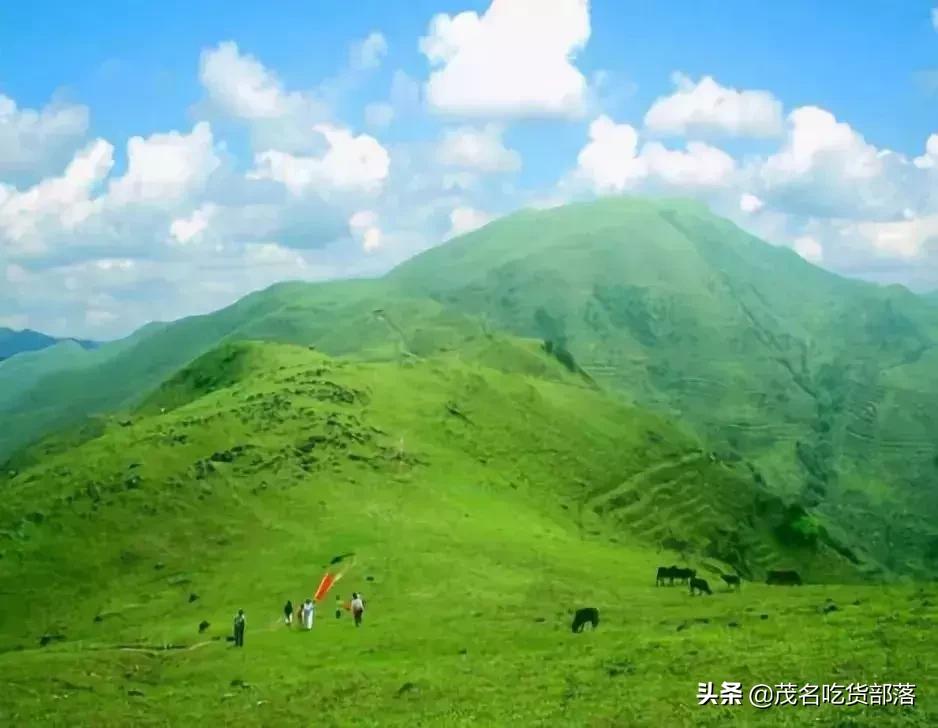 茂名这座城市被誉为什么城,茂名是一座怎样的城市