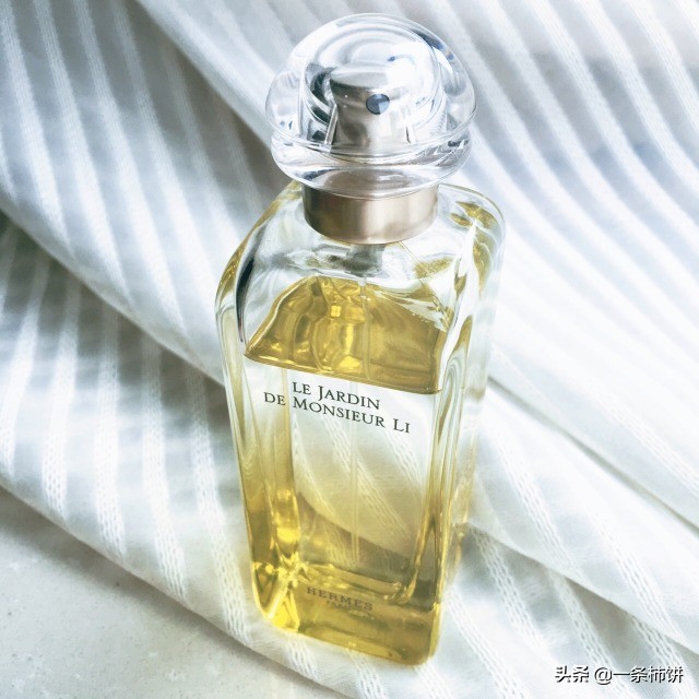 蓝风玲香水香调,香水四大调分类图