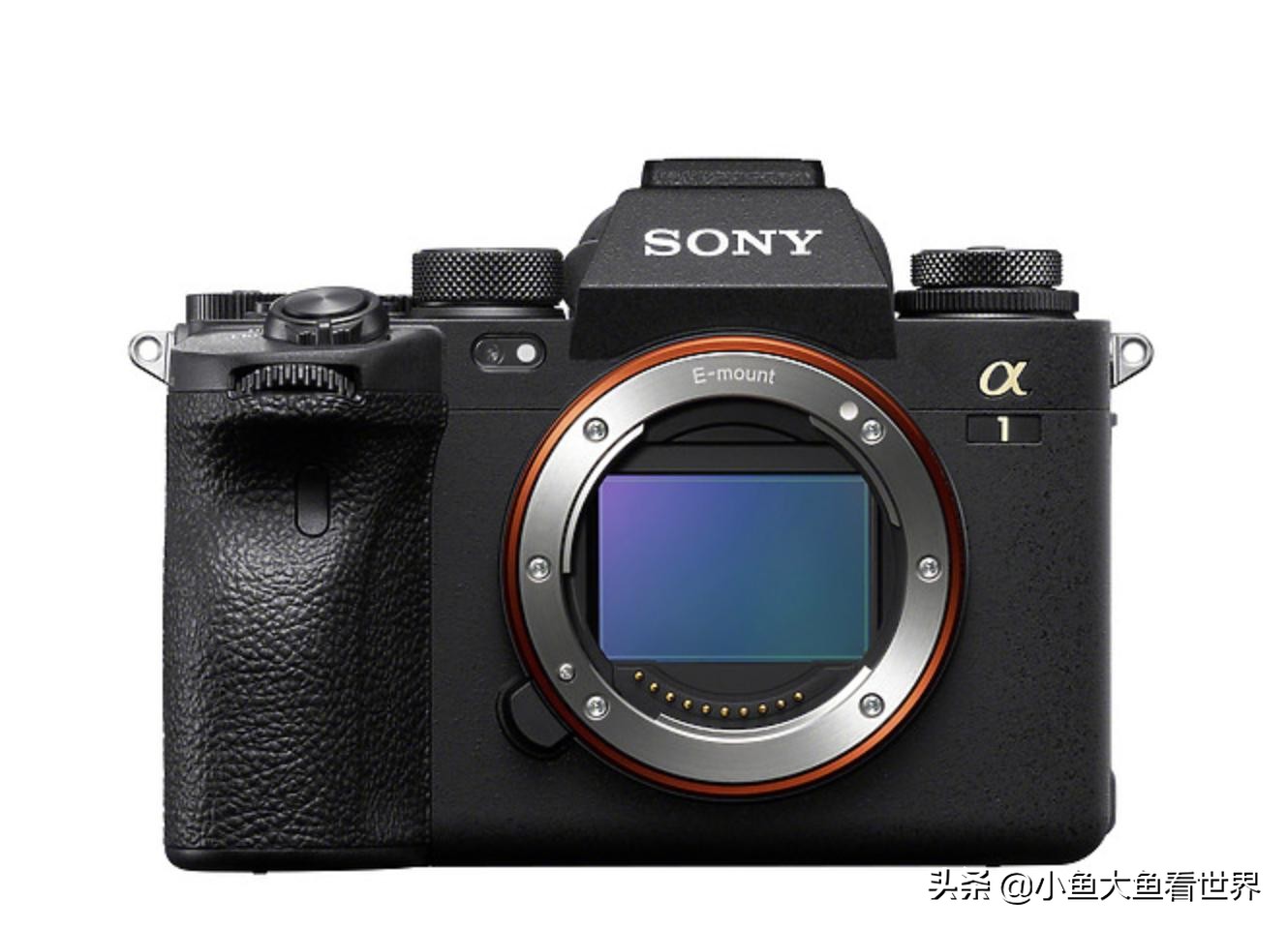 索尼a7r3画质对比佳能eos5d4,索尼a7r3和佳能r5对比哪个好