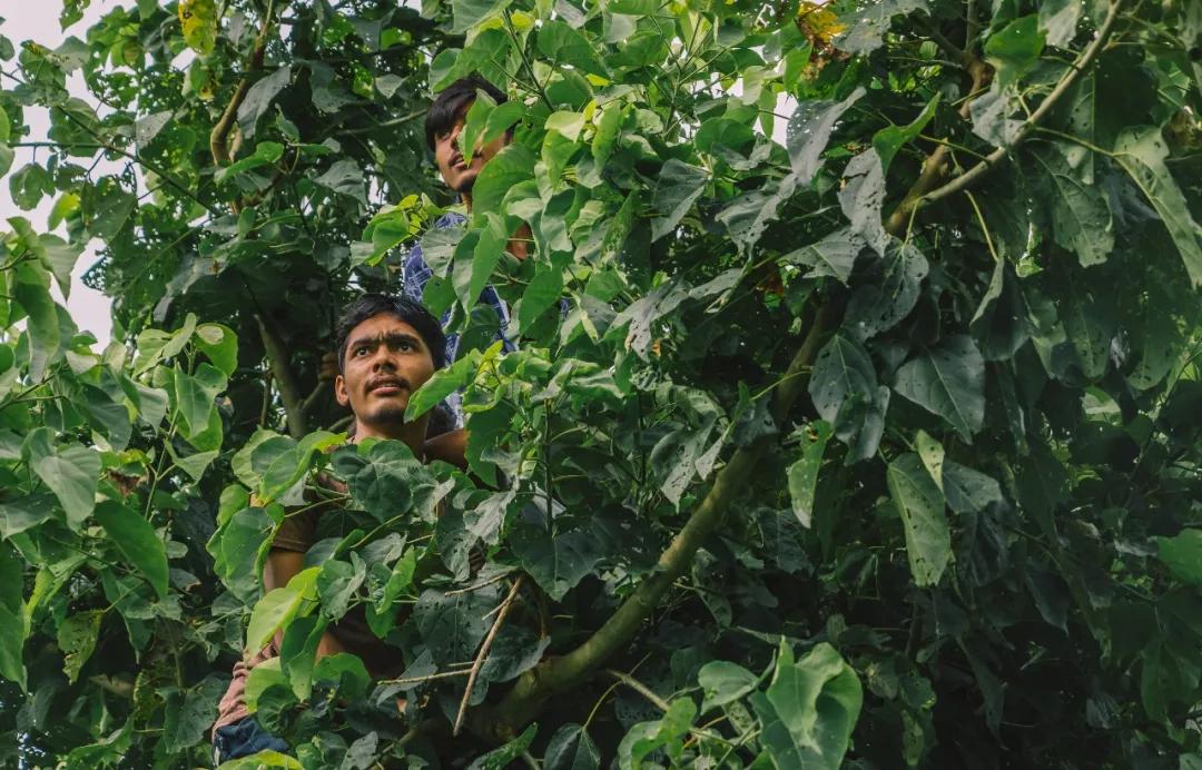 这个微笑国度,见人就夸漂亮,300元就能在天空滑翔