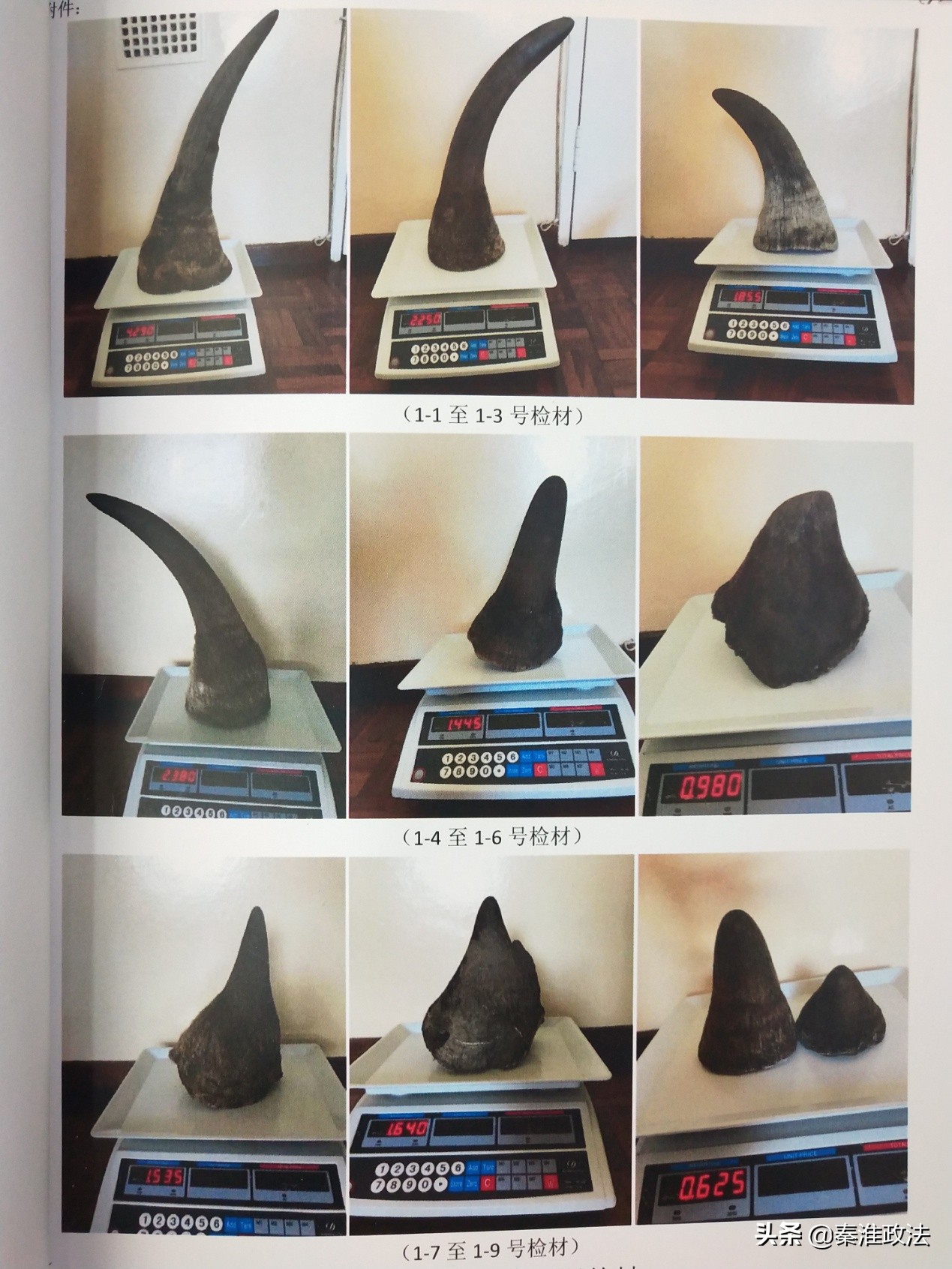 从“白黄金”到“黑宝贝”：揭秘京城“辛氏家族”“黑帝国”的覆灭