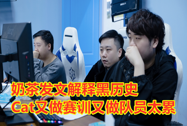 cat猫神不打训练赛,cat猫神为什么不打比赛