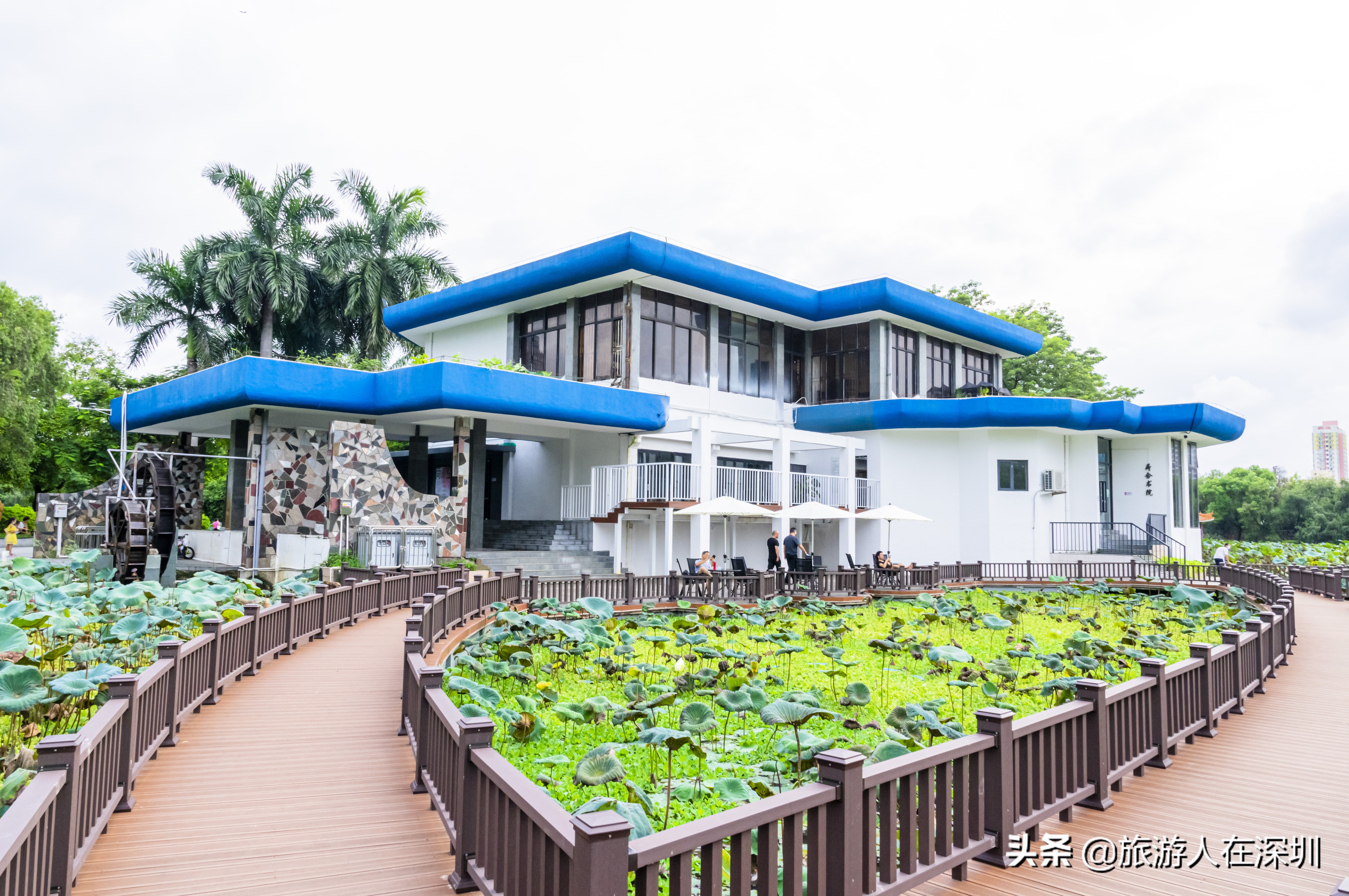 洪湖公园荷美空间开放吗,深圳洪湖荷美空间