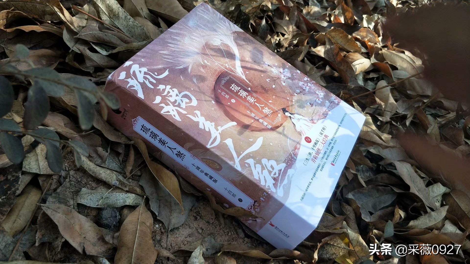 鍗佸洓閮庣悏鐠冪編浜虹厼,鍗佸洓閮庣悏鐠冪編浜虹厼鍚嶅彞