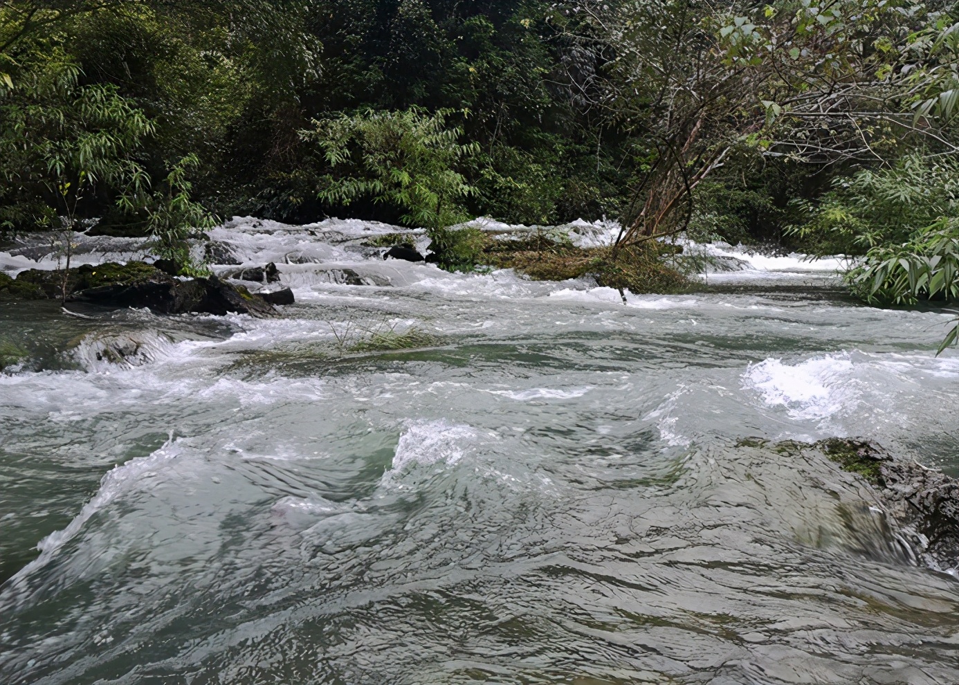 茂兰喀斯特原始森林徒步穿越,茂兰喀斯特森林之旅