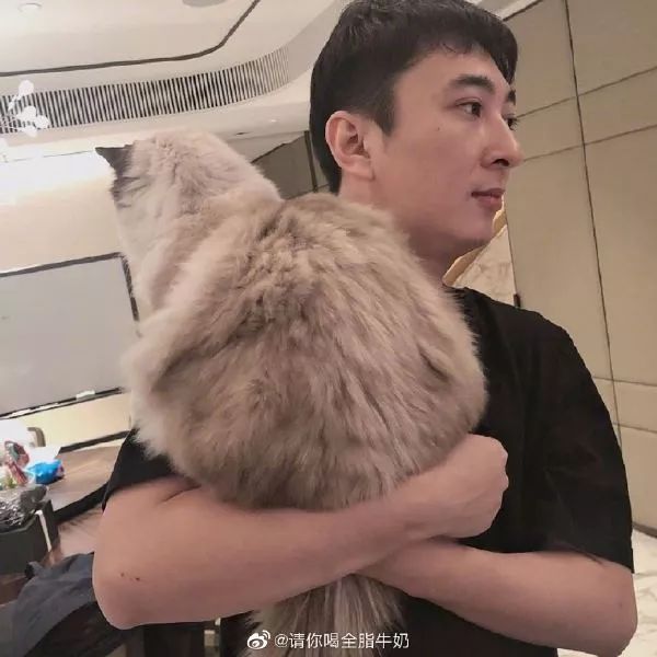 再见“丑照”!告别大脸圆脸这几招就够了