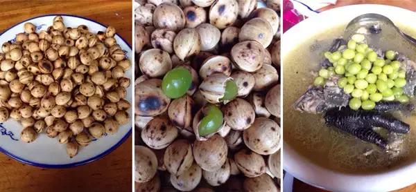 南雄最美银杏,广东美丽的银杏图片