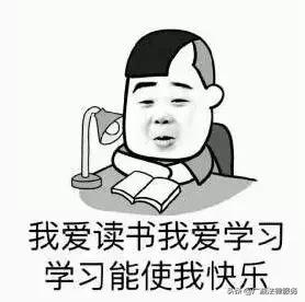 法亦有情案例,法亦有情影评