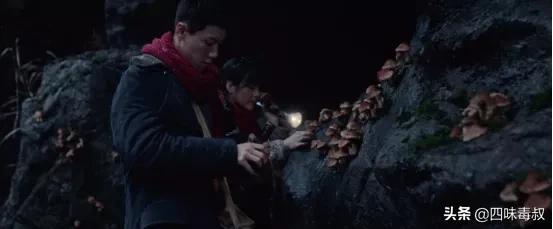 鬼吹灯之黄皮子坟类似的电影,黄皮子坟与鬼吹灯到底有什么关系