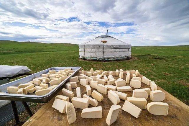 DNA和乳制品不兼容的蒙古人，怎么就成了克服乳糖不耐的关键？