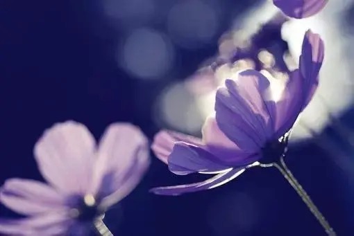 别人瞧不起你发朋友圈怎么说,瞧不起人的句子发朋友圈