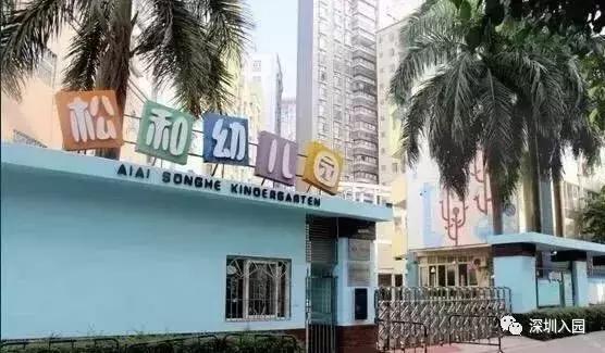 深圳幼儿园收费排行榜,深圳公立幼儿园和私立幼儿园收费