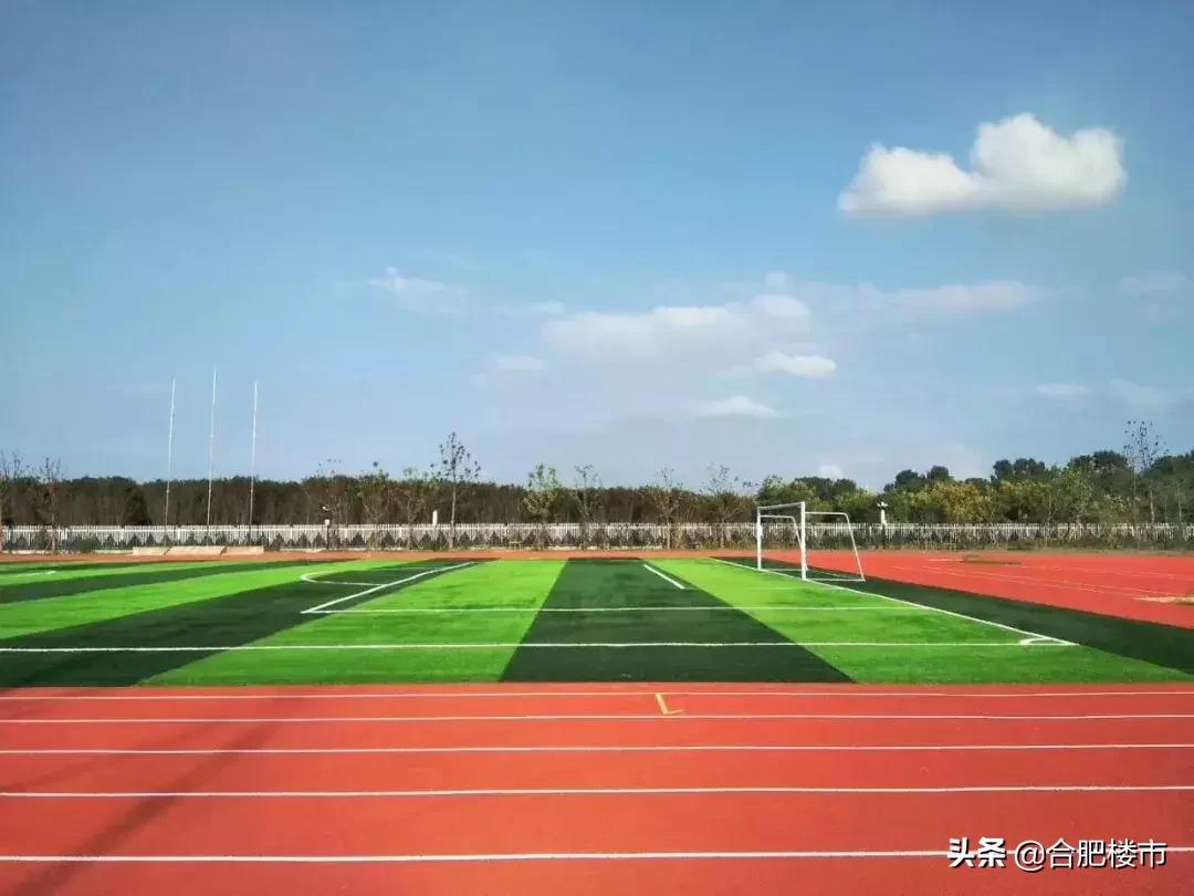 滨湖省府板块最新规划,滨湖最新土地规划