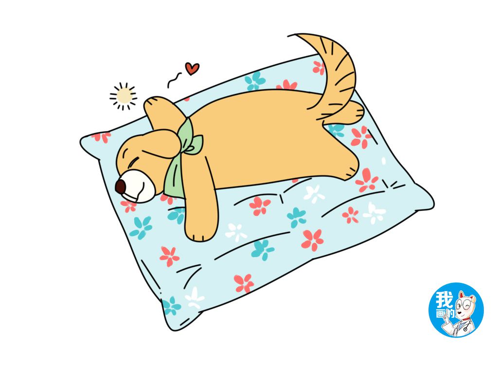 宠物冰垫有甲醛吗,宠物冰垫里面是什么材料的