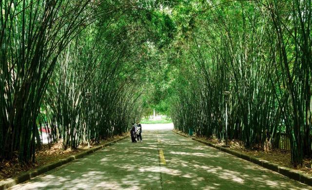 吉首最好的地标,吉首特色地标