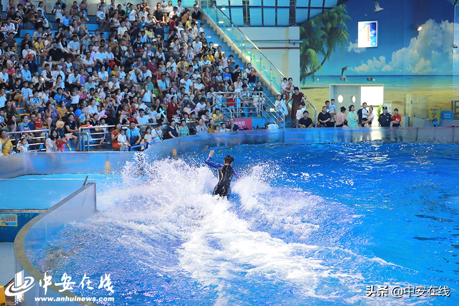 安徽七月,七月安徽景色