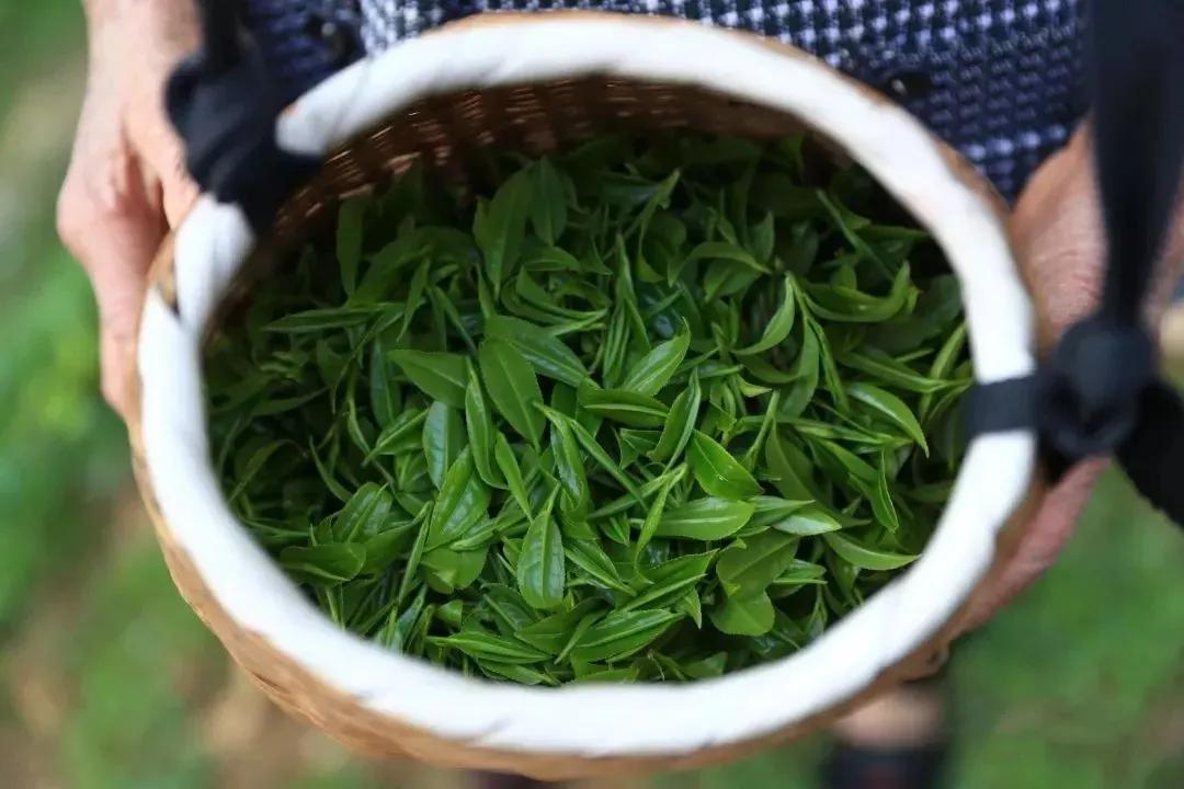 云南省昆明市十二生肖街,云南的十二生肖的地名