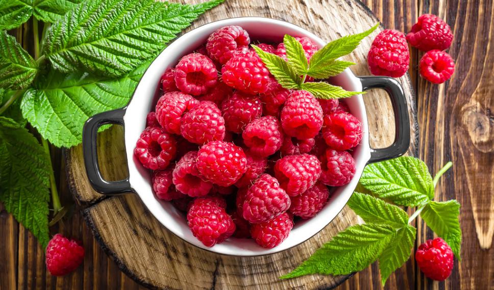 抗衰老酵素的制作方法,关于酵素护肤的知识