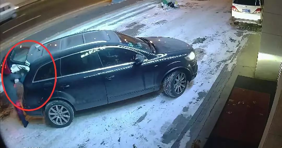 开豪车偷路边花盆,郑州男子开奥迪偷东西