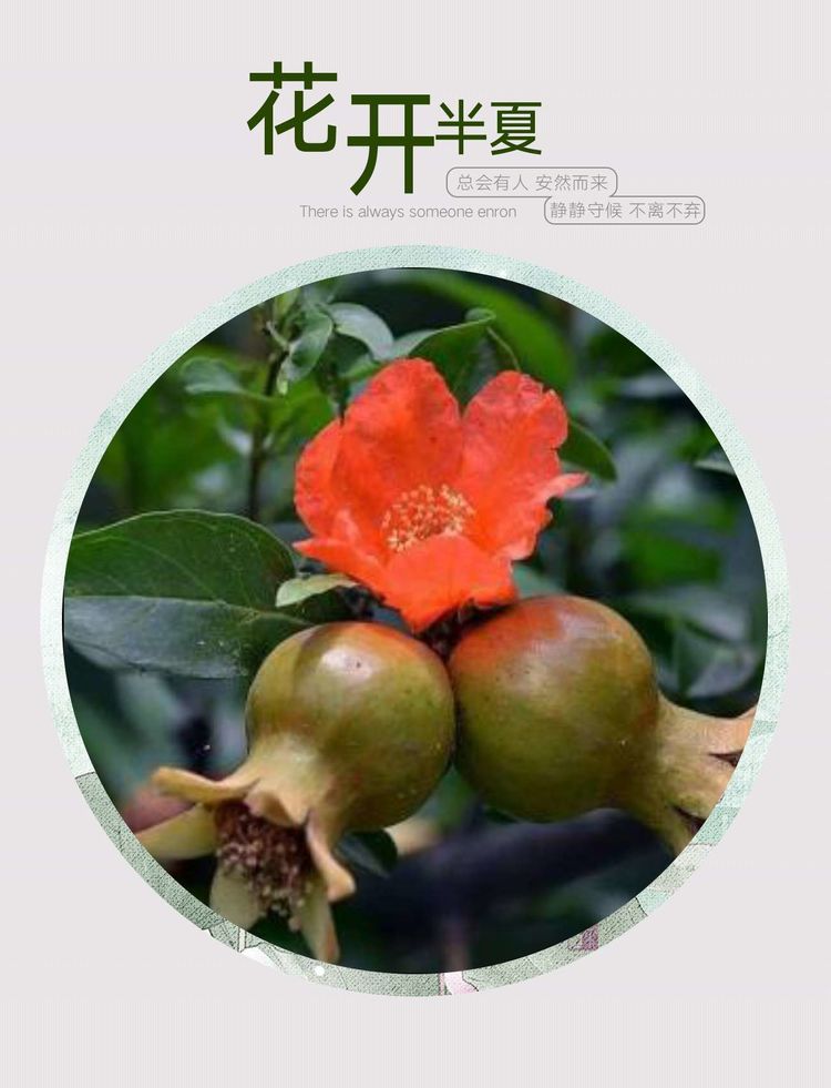 深秋的思念歌曲原唱,深秋的思念散文诗