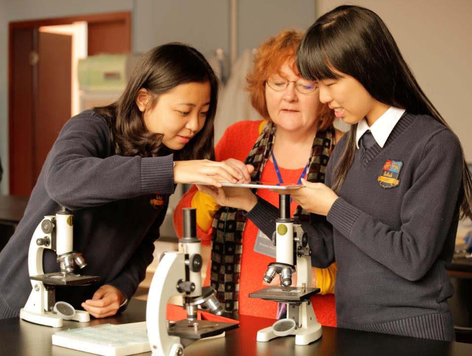 什么是国际学校,什么是国际学校排名