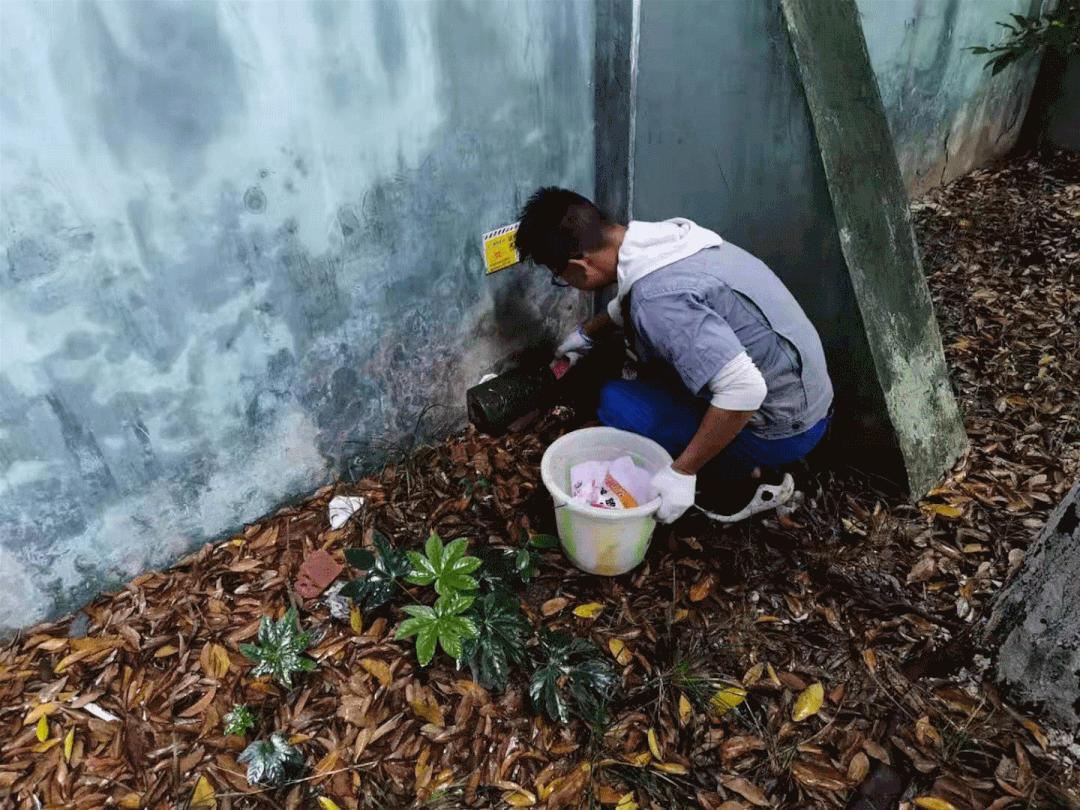 农村新四害到底多严重,农村新四害到底有多严重