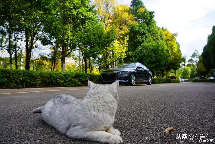 十代雅阁混动版与英诗派太空银,十代雅阁太空银还是白色好看